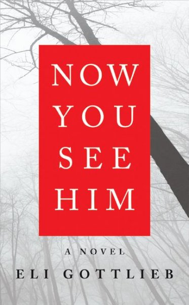 Now you see him : [a novel] / Eli Gottlieb.