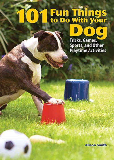 101 fun things to do with your dog : tricks, games, sports, and other playtime activities / Alison Smith.