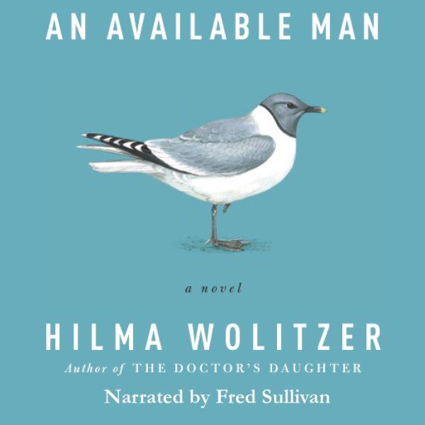 An available man [electronic resource] / Hilma Wolitzer.