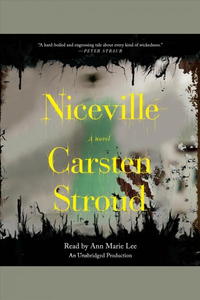 Niceville [electronic resource] : a novel / Carsten Stroud.