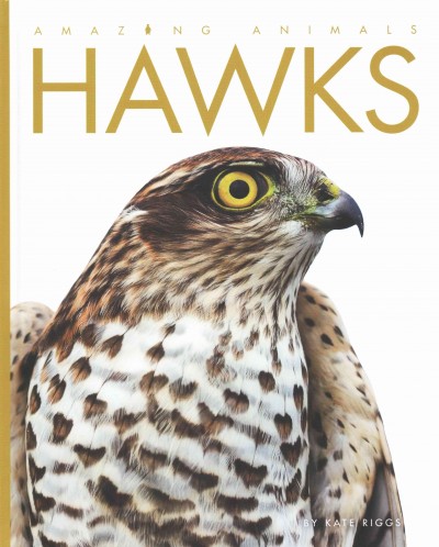 Hawks / by Kate Riggs.