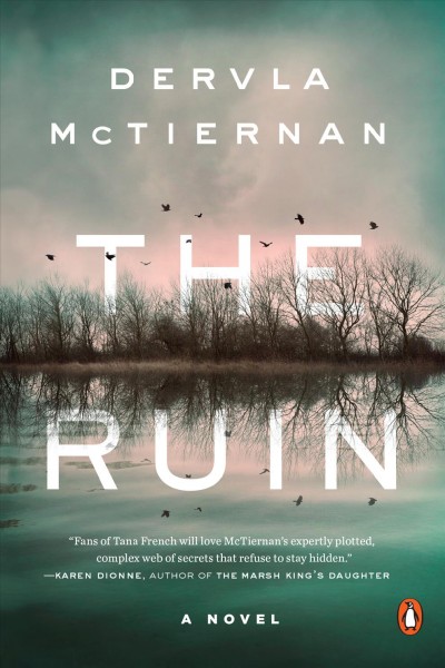 The ruin : a novel / Dervla McTiernan.