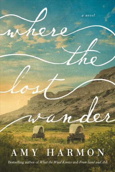 Where the lost wander : a novel / Amy Harmon.