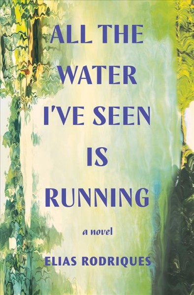 All the water I've seen is running : a novel / Elias Rodriques.