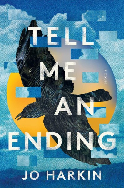 Tell me an ending : a novel / Jo Harkin.