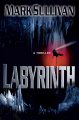 Go to record Labyrinth : a thriller
