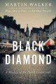 Go to record Black diamond