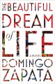 Go to record The beautiful dream of life : a novel