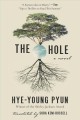 Go to record The hole : a novel