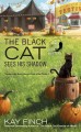 Go to record The black cat sees his shadow