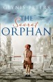 The secret orphan  Cover Image