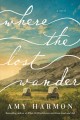 Go to record Where the lost wander : a novel