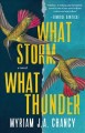 What storm, what thunder : a novel  Cover Image