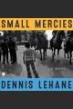 Small mercies : a novel  Cover Image