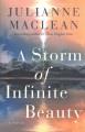A storm of infinite beauty : a novel  Cover Image