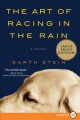 The art of racing in the rain  Cover Image